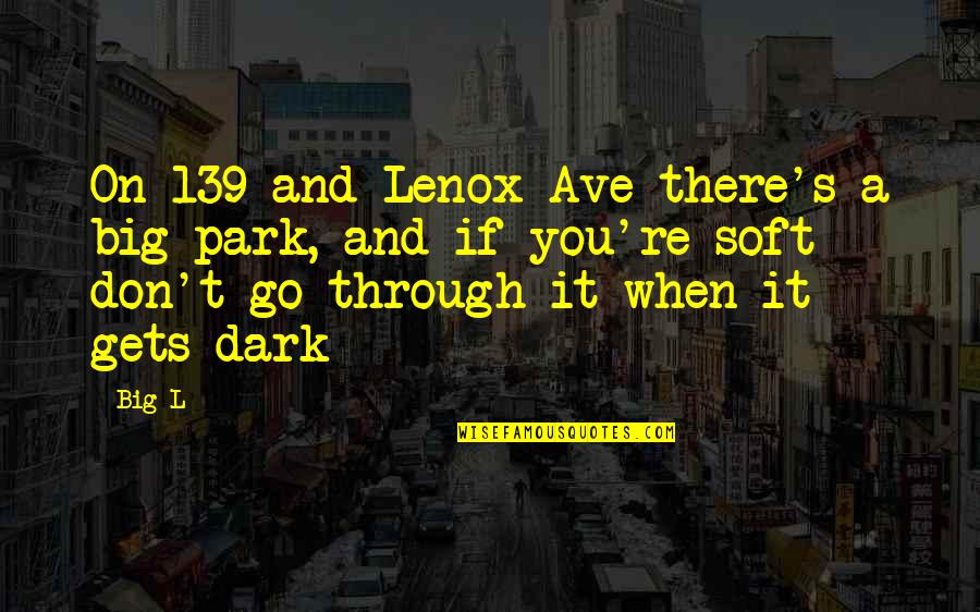 Phantom Stranger Quotes By Big L: On 139 and Lenox Ave there's a big