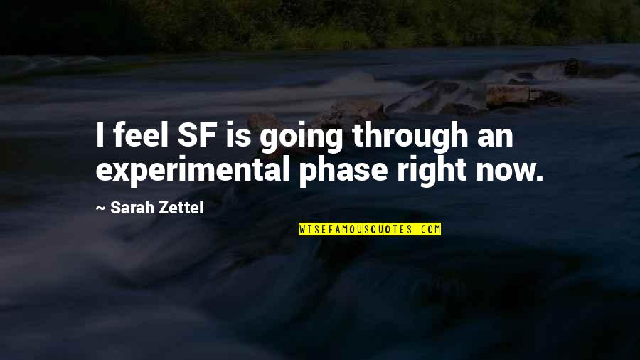 Phase Out Quotes By Sarah Zettel: I feel SF is going through an experimental