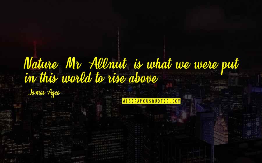 Phate098 Quotes By James Agee: Nature, Mr. Allnut, is what we were put