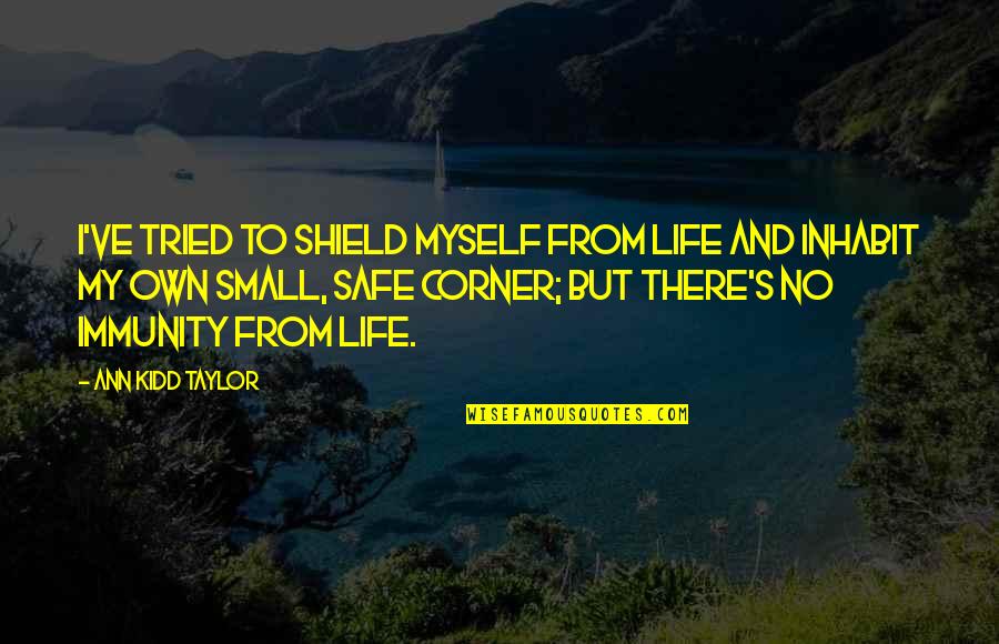 Phatos Quotes By Ann Kidd Taylor: I've tried to shield myself from life and