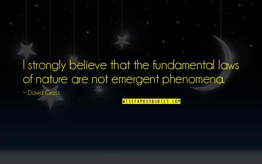Phenomena Quotes By David Gross: I strongly believe that the fundamental laws of