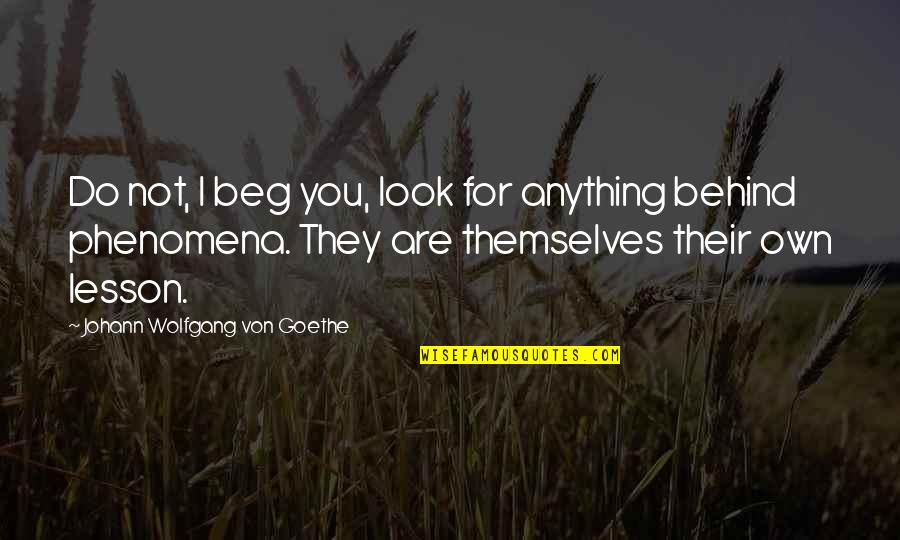 Phenomena Quotes By Johann Wolfgang Von Goethe: Do not, I beg you, look for anything