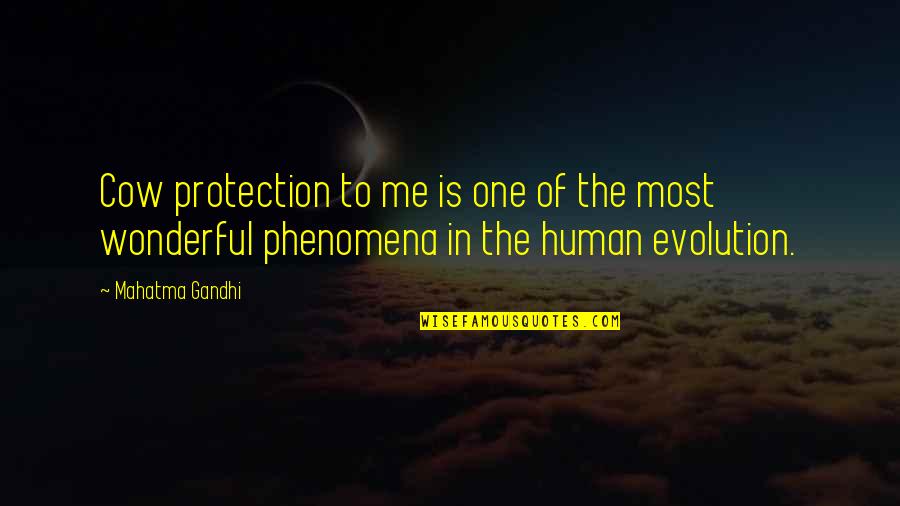 Phenomena Quotes By Mahatma Gandhi: Cow protection to me is one of the