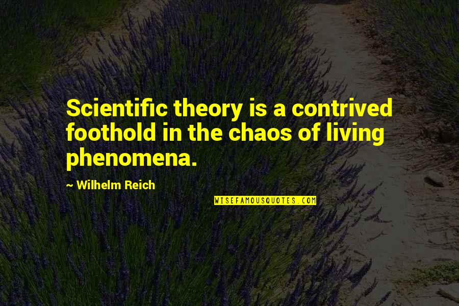 Phenomena Quotes By Wilhelm Reich: Scientific theory is a contrived foothold in the
