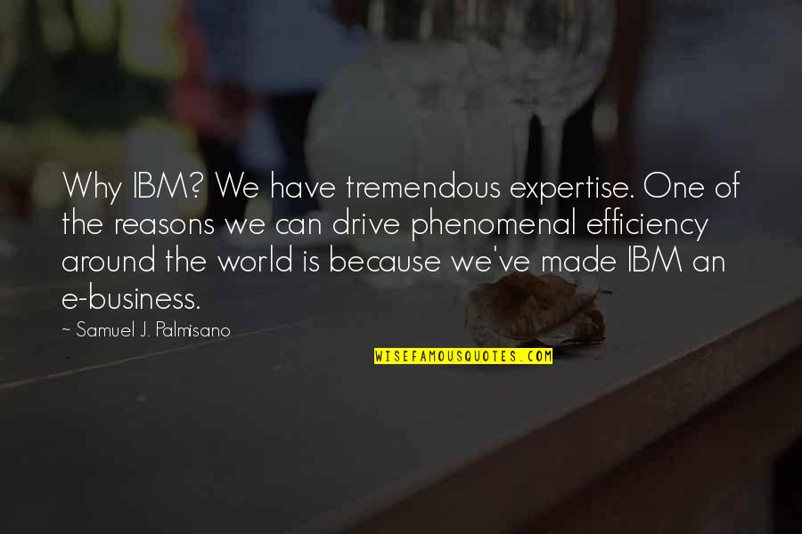 Phenomenal Quotes By Samuel J. Palmisano: Why IBM? We have tremendous expertise. One of