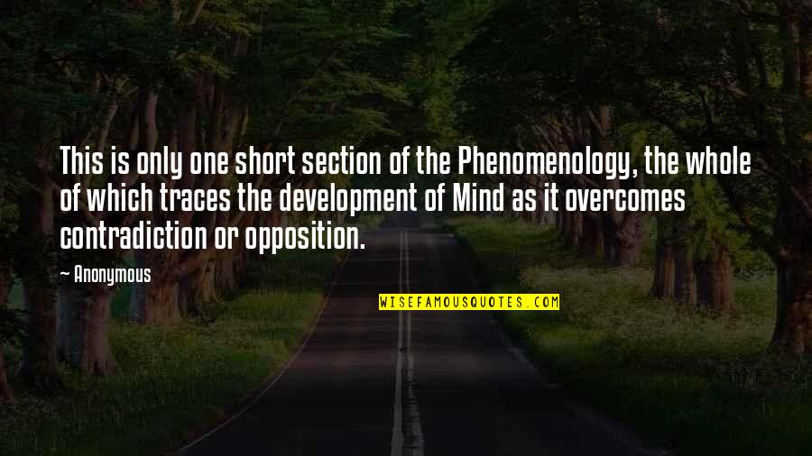 Phenomenology's Quotes By Anonymous: This is only one short section of the