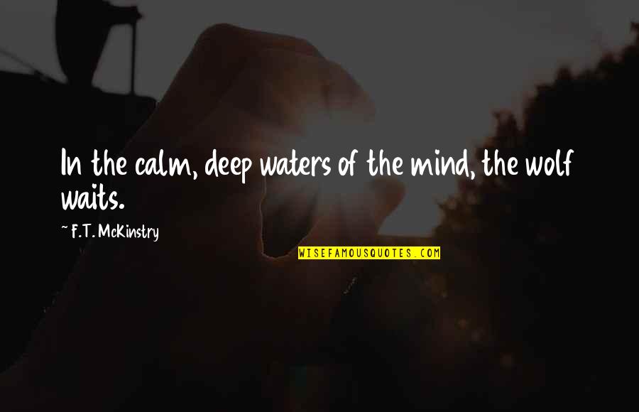 Phenphetamine Quotes By F.T. McKinstry: In the calm, deep waters of the mind,