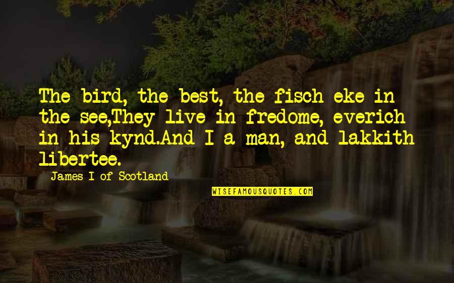 Phil Condit Quotes By James I Of Scotland: The bird, the best, the fisch eke in Phil Condit Quotes By James I Of Scotland: The bird, the best, the fisch eke in