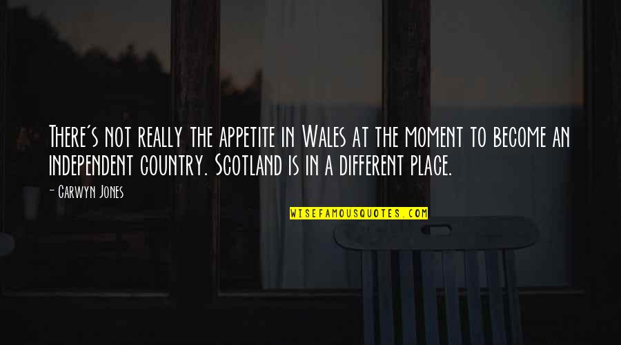 Phil Hendrie Quotes By Carwyn Jones: There's not really the appetite in Wales at Phil Hendrie Quotes By Carwyn Jones: There's not really the appetite in Wales at