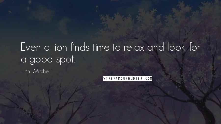 Phil Mitchell quotes: Even a lion finds time to relax and look for a good spot.