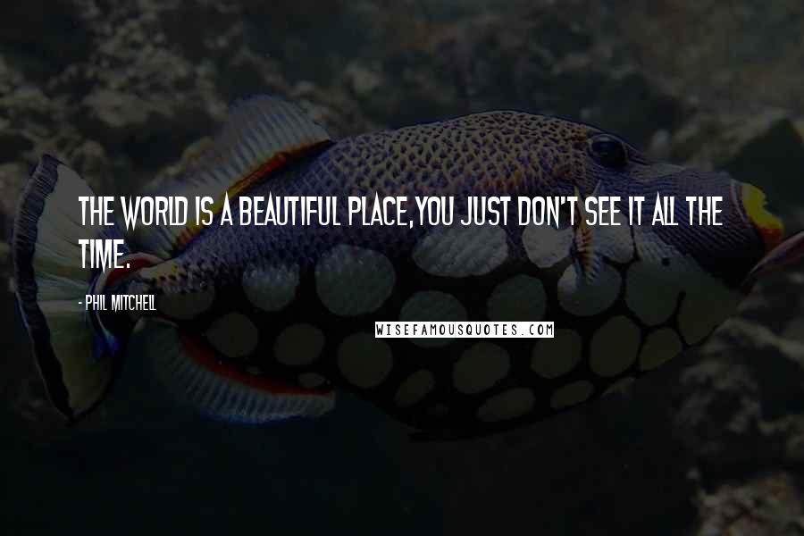 Phil Mitchell quotes: The world is a beautiful place,you just don't see it all the time.