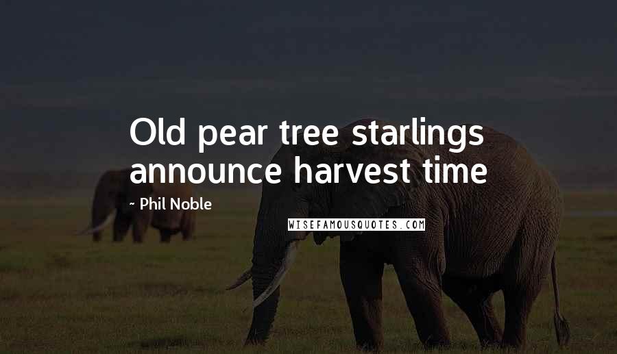 Phil Noble quotes: Old pear tree starlings announce harvest time