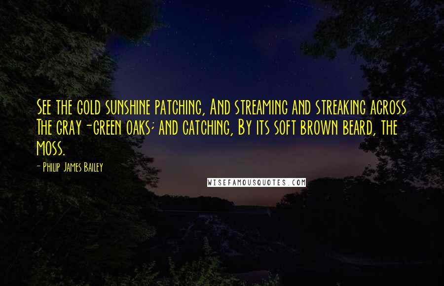 Philip James Bailey quotes: See the gold sunshine patching, And streaming and streaking across The gray-green oaks; and catching, By its soft brown beard, the moss.