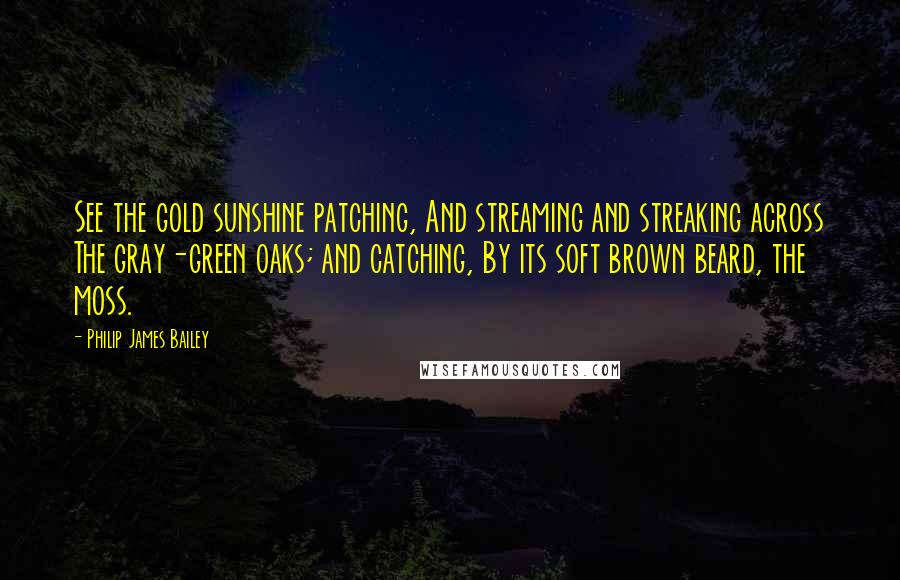 Philip James Bailey quotes: See the gold sunshine patching, And streaming and streaking across The gray-green oaks; and catching, By its soft brown beard, the moss. Philip James Bailey quotes: See the gold sunshine patching, And streaming and streaking across The gray-green oaks; and catching, By its soft brown beard, the moss.