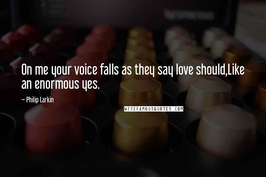 Philip Larkin quotes: On me your voice falls as they say love should,Like an enormous yes.
