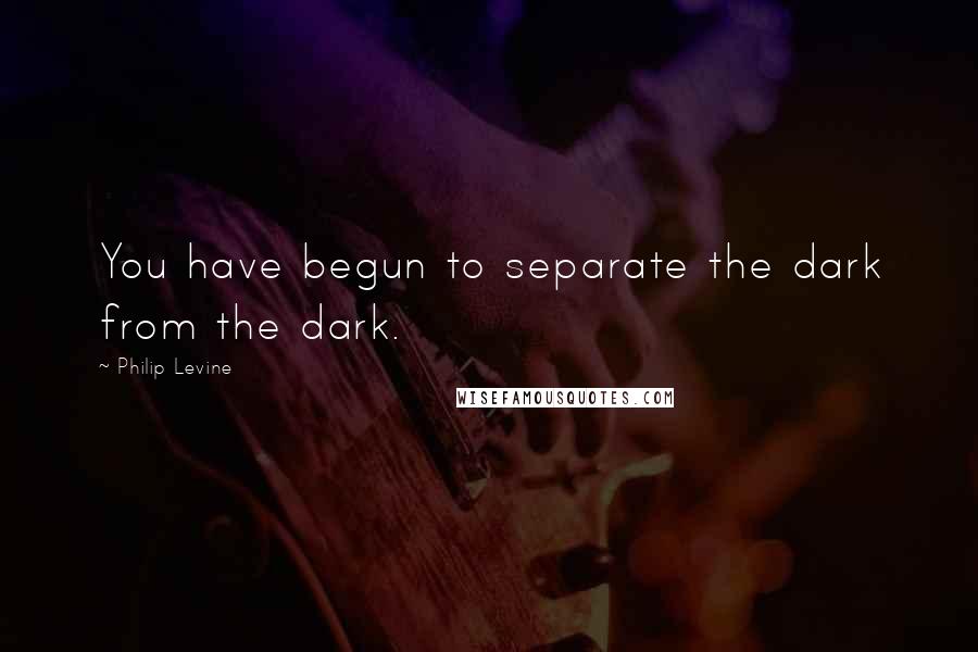 Philip Levine quotes: You have begun to separate the dark from the dark.