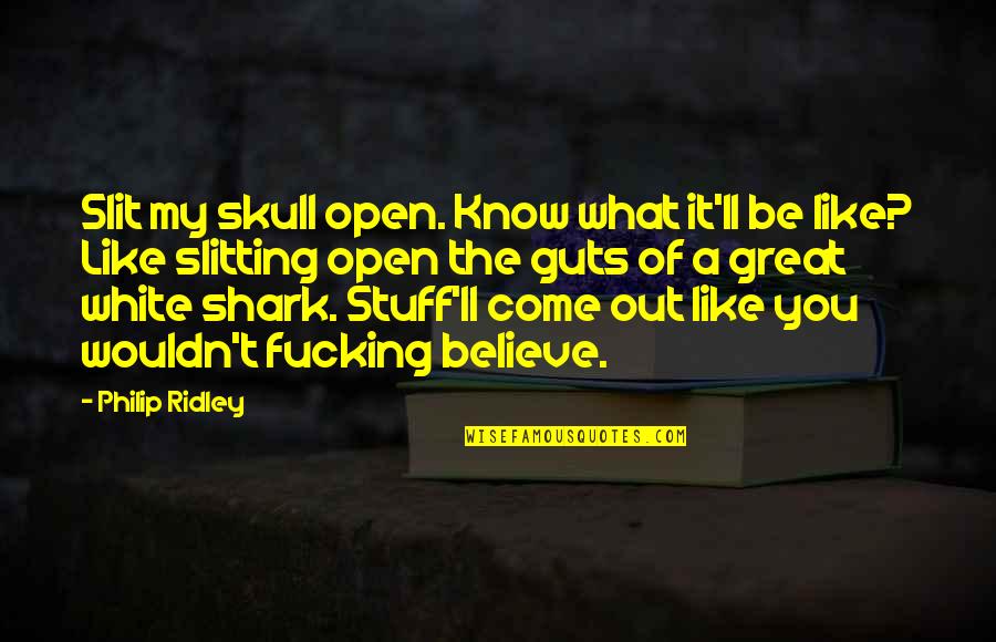 Philip Ridley Quotes By Philip Ridley: Slit my skull open. Know what it'll be