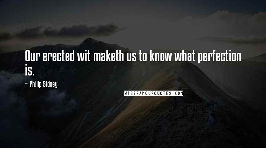 Philip Sidney quotes: Our erected wit maketh us to know what perfection is.