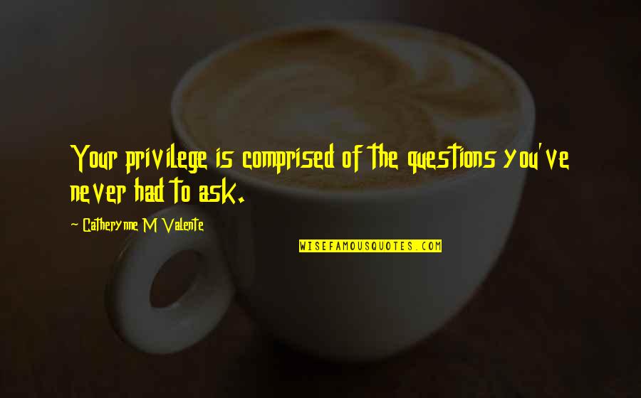 Philipp Bouhler Quotes By Catherynne M Valente: Your privilege is comprised of the questions you've