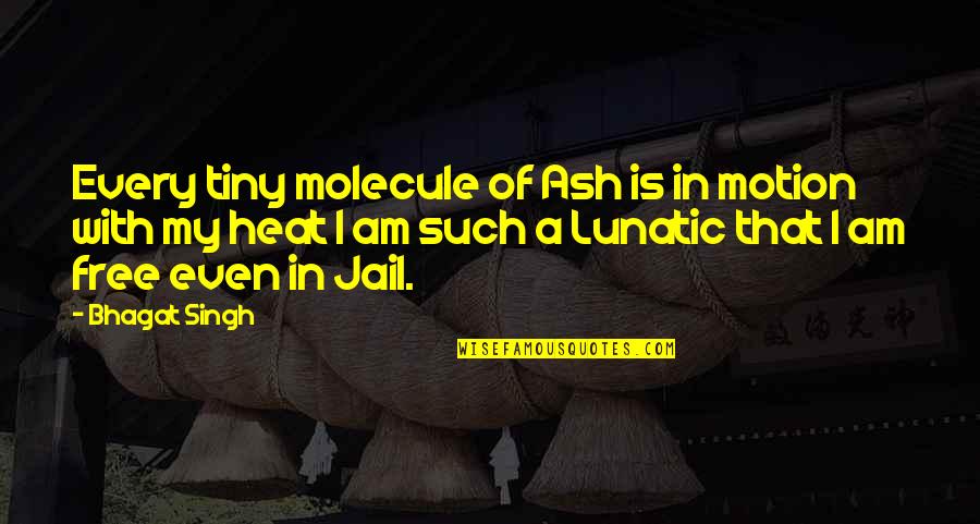 Philippos Nakas Quotes By Bhagat Singh: Every tiny molecule of Ash is in motion