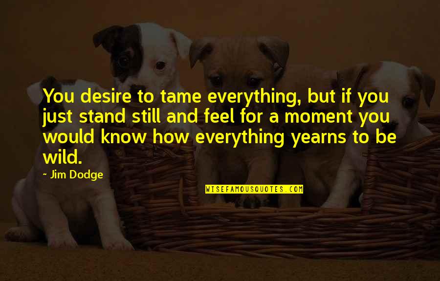 Phillip Lopate Quotes By Jim Dodge: You desire to tame everything, but if you