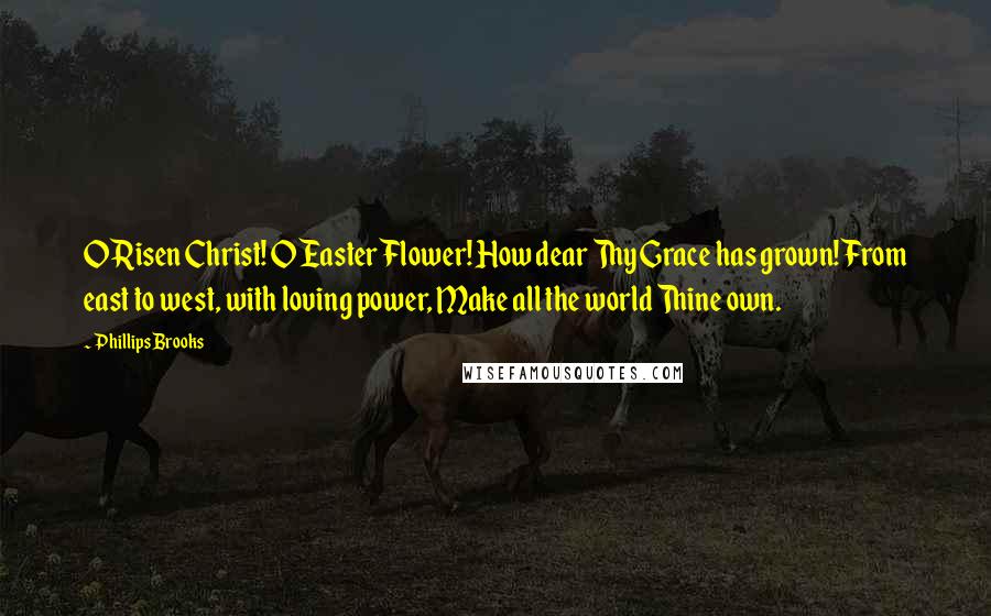 Phillips Brooks quotes: O Risen Christ! O Easter Flower! How dear Thy Grace has grown! From east to west, with loving power, Make all the world Thine own.