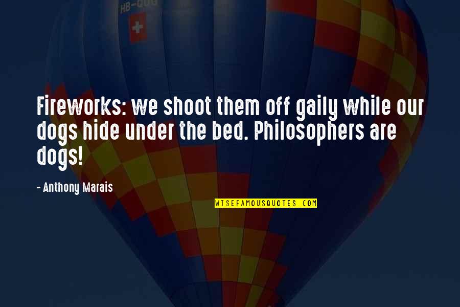 Philosophers Quotes And Quotes By Anthony Marais: Fireworks: we shoot them off gaily while our