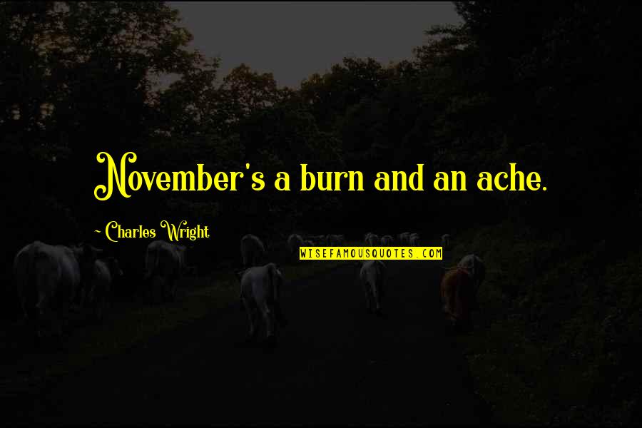 Philosophiae Principia Quotes By Charles Wright: November's a burn and an ache. Philosophiae Principia Quotes By Charles Wright: November's a burn and an ache.