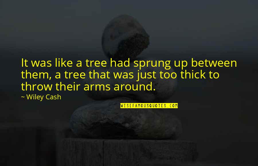 Philosophical Adolescence Quotes By Wiley Cash: It was like a tree had sprung up