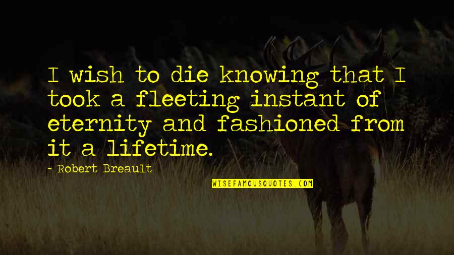 Philosophical Eternity Quotes By Robert Breault: I wish to die knowing that I took