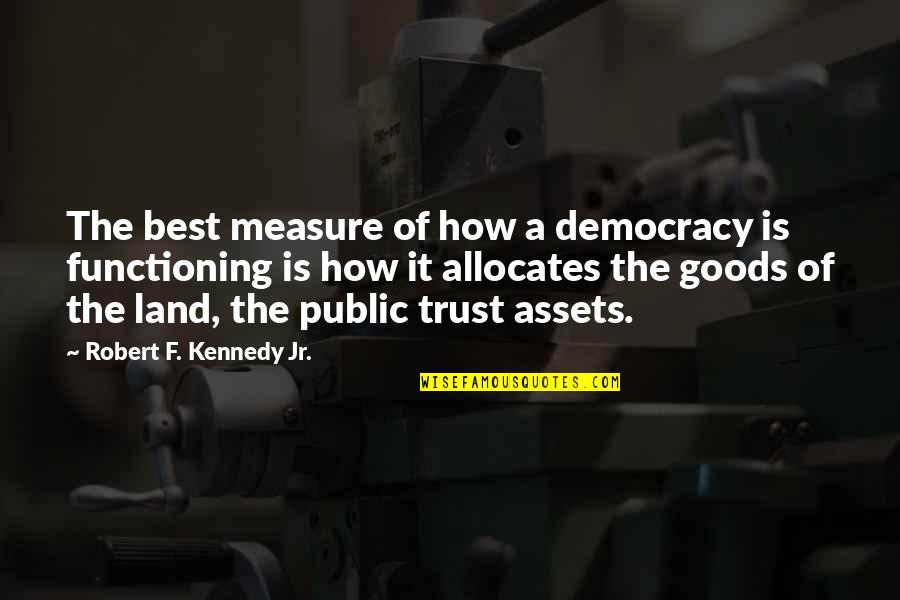 Philosophical Questions And Quotes By Robert F. Kennedy Jr.: The best measure of how a democracy is