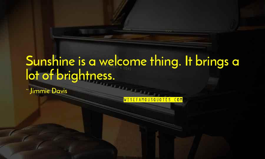 Philosophise Quotes By Jimmie Davis: Sunshine is a welcome thing. It brings a