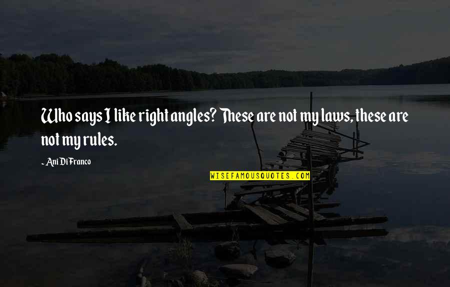 Philosophy And Law Quotes By Ani DiFranco: Who says I like right angles? These are