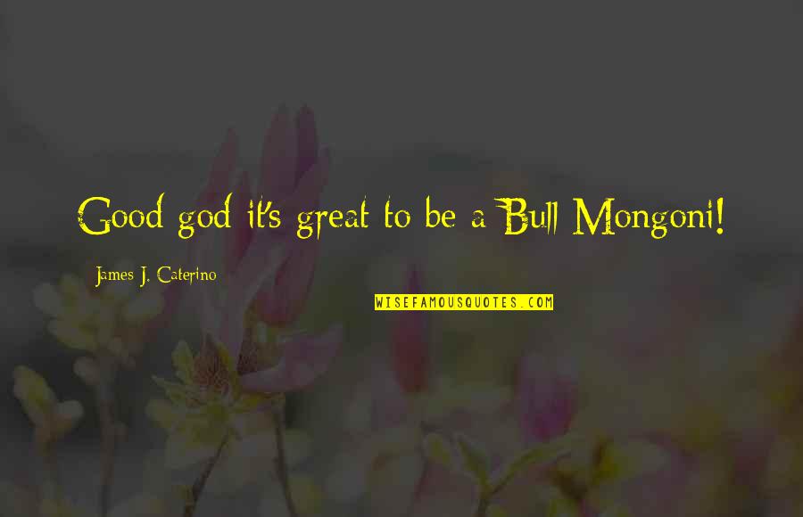 Philosophy God Quotes By James J. Caterino: Good god it's great to be a Bull