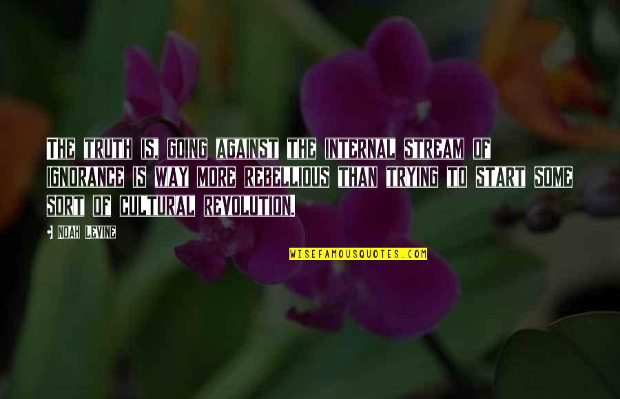 Philosophy Is The Music Quotes By Noah Levine: The truth is, going against the internal stream
