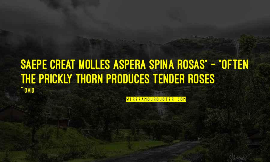 Philosophy Latin Quotes By Ovid: Saepe creat molles aspera spina rosas" - "Often