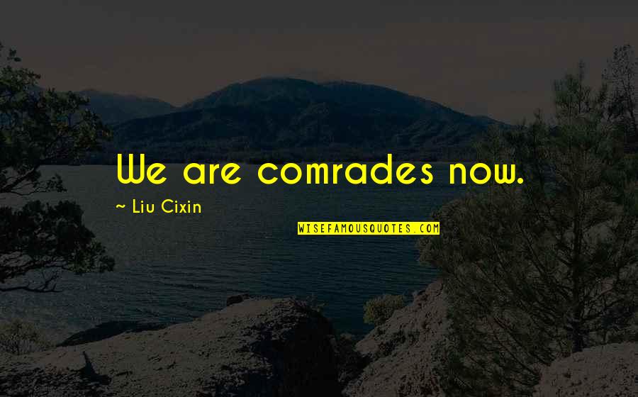 Philosphy Of Life Quotes By Liu Cixin: We are comrades now. Philosphy Of Life Quotes By Liu Cixin: We are comrades now.