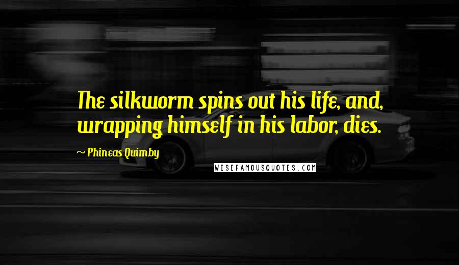 Phineas Quimby quotes: The silkworm spins out his life, and, wrapping himself in his labor, dies.