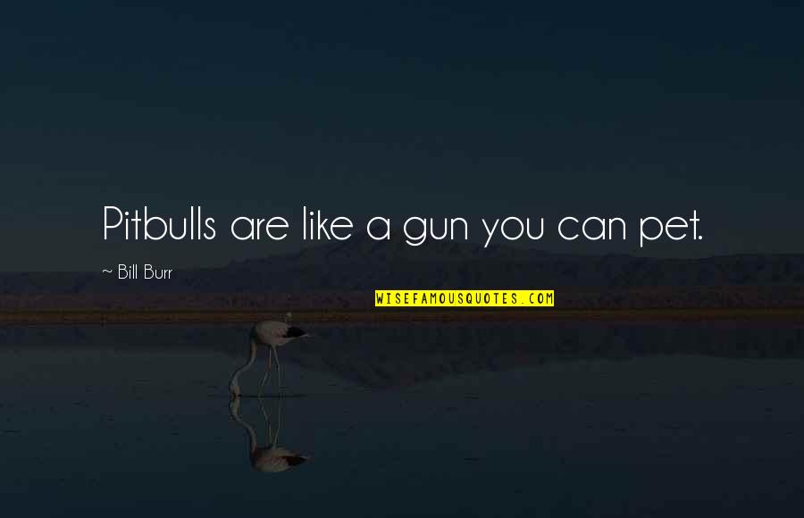 Phobolsatv Quotes By Bill Burr: Pitbulls are like a gun you can pet.