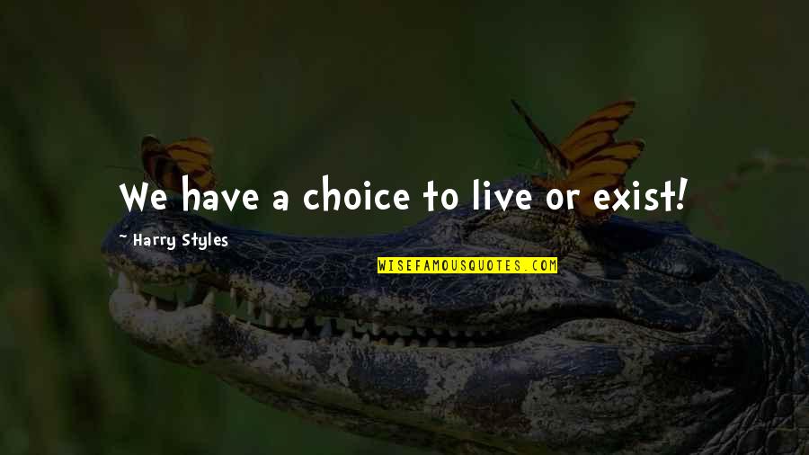 Phoebe Pyncheon Quotes By Harry Styles: We have a choice to live or exist!