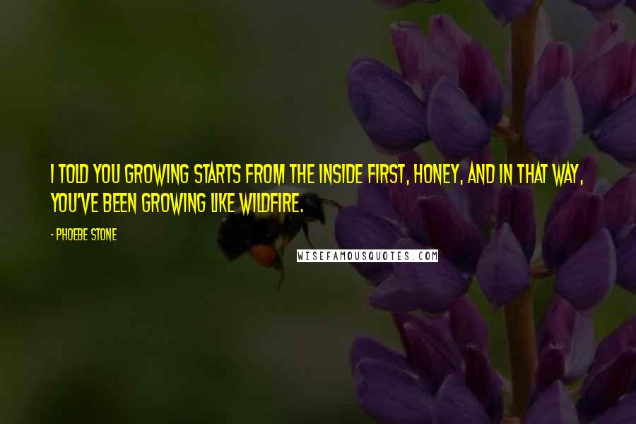 Phoebe Stone quotes: I told you growing starts from the inside first, honey, and in that way, you've been growing like wildfire. Phoebe Stone quotes: I told you growing starts from the inside first, honey, and in that way, you've been growing like wildfire.