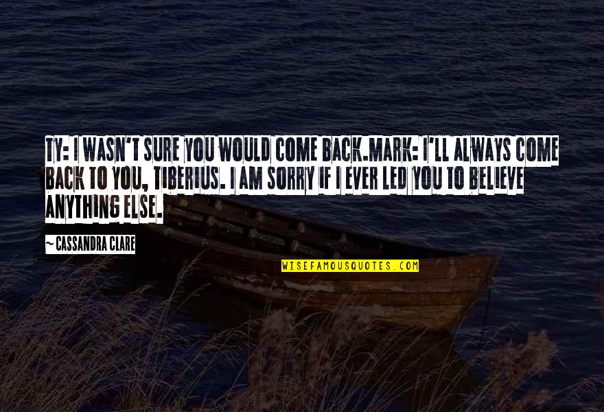 Phoenix Rising Book Quotes By Cassandra Clare: Ty: I wasn't sure you would come back.Mark: