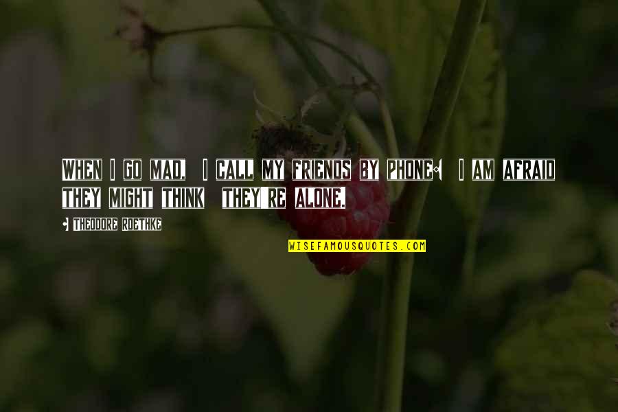 Phone Call Quotes By Theodore Roethke: When I go mad, I call my friends