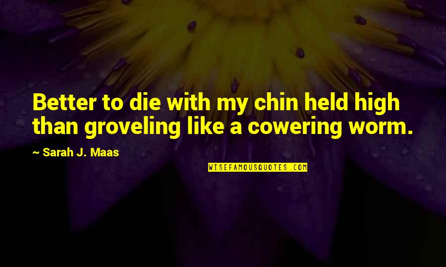 Phone Screen Repair Quote Quotes By Sarah J. Maas: Better to die with my chin held high
