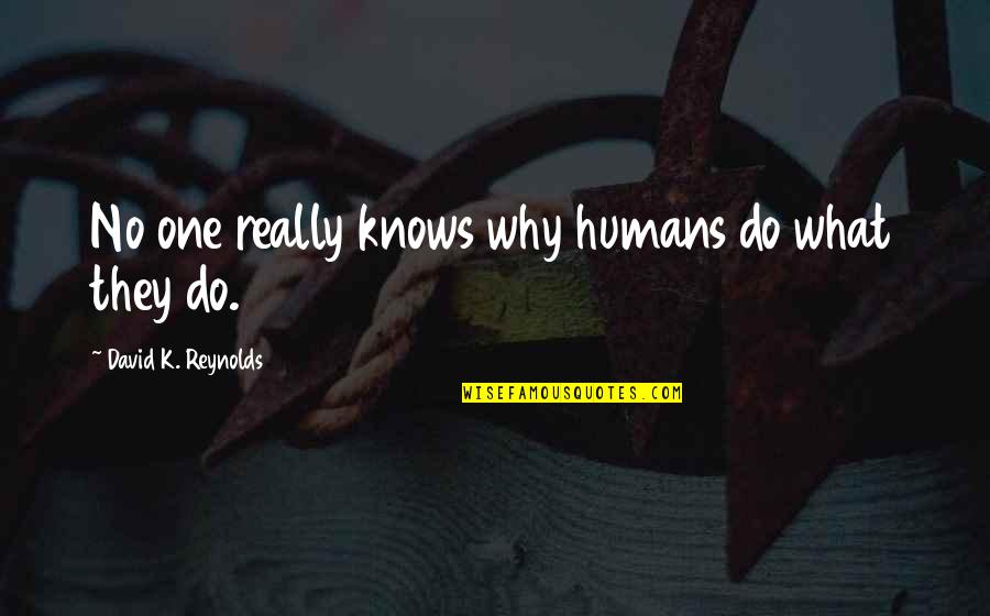 Phooey Duck Quotes By David K. Reynolds: No one really knows why humans do what Phooey Duck Quotes By David K. Reynolds: No one really knows why humans do what