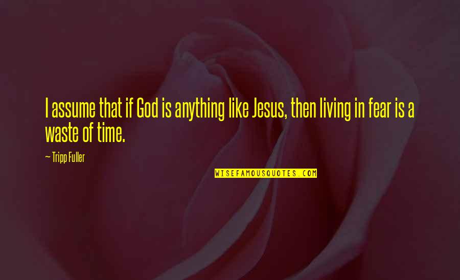 Phosphorescent Muchacho Quotes By Tripp Fuller: I assume that if God is anything like