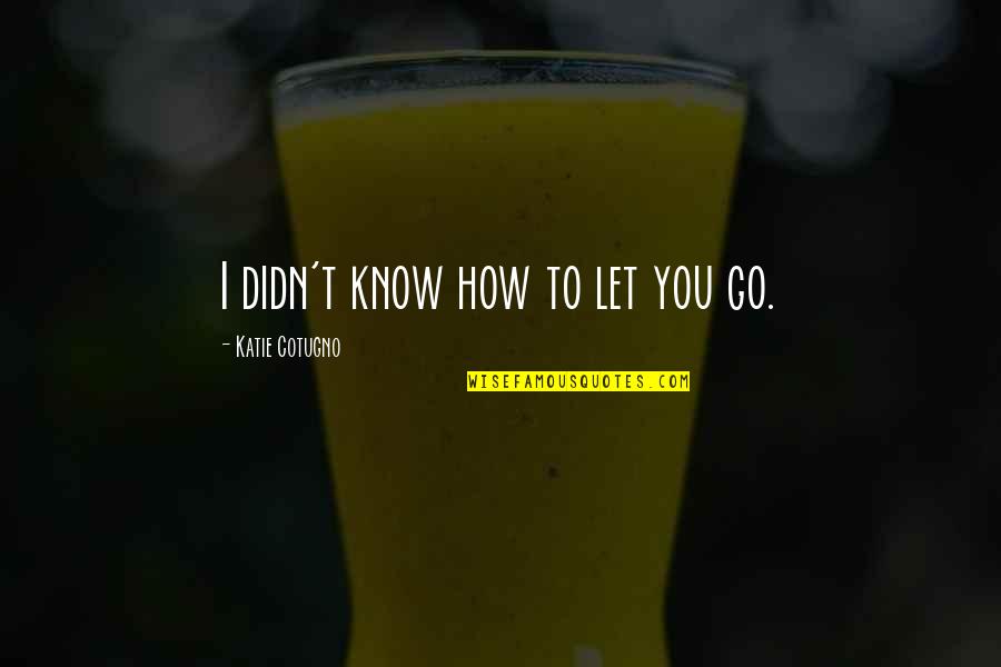 Photo Diary Quotes By Katie Cotugno: I didn't know how to let you go.