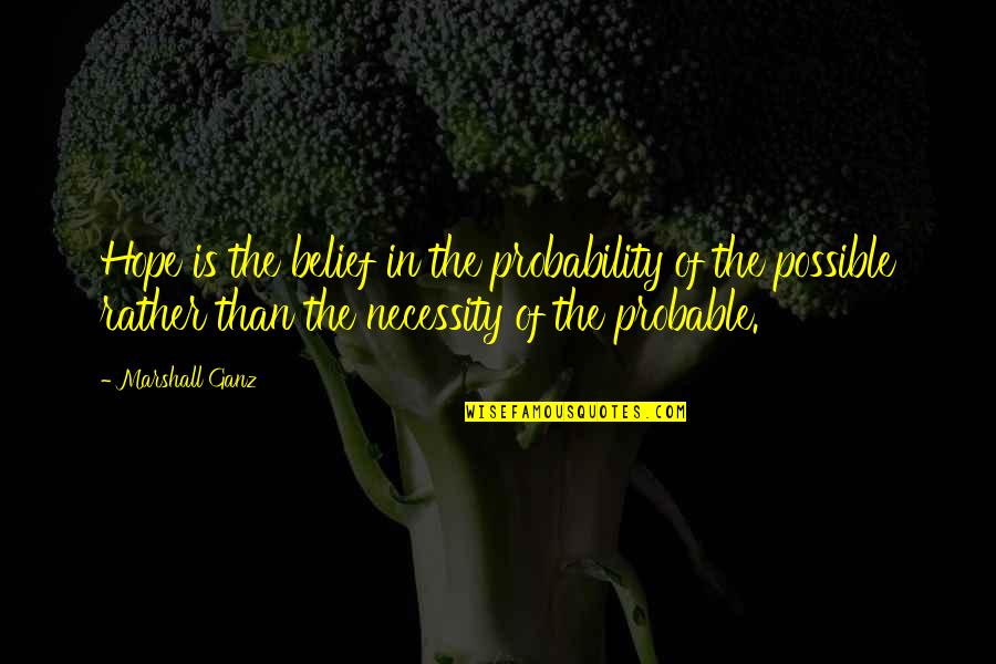 Photo Online Quotes By Marshall Ganz: Hope is the belief in the probability of