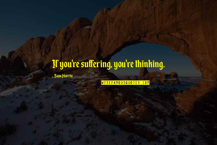 Photo Portrait Quotes By Sam Harris: If you're suffering, you're thinking.