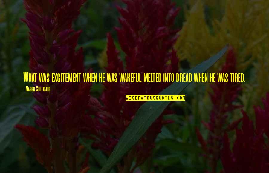 Photo Sketch Quotes By Maggie Stiefvater: What was excitement when he was wakeful melted
